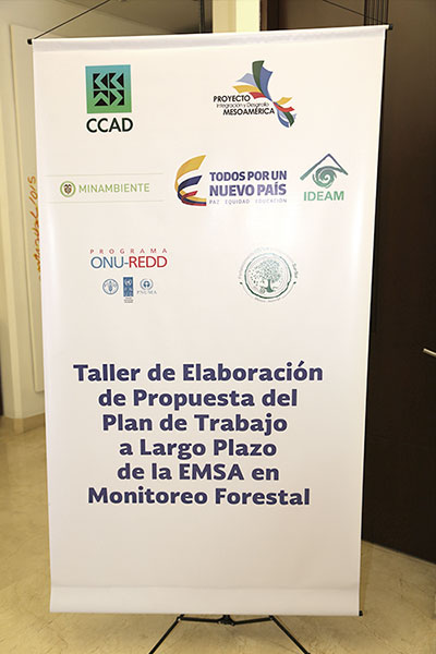 Países de Mesoamérica cooperan para monitorear sus bosques