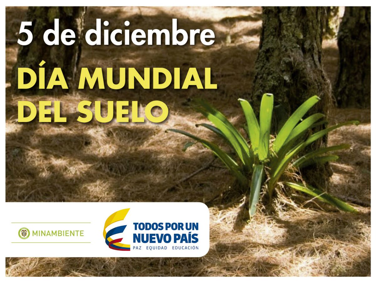 40% del territorio colombiano presenta algún grado de degradación de suelos por erosión
