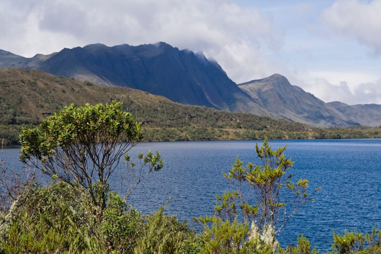 Uso responsable del agua, clave para enfrentar el cambio climático y el coronavirus