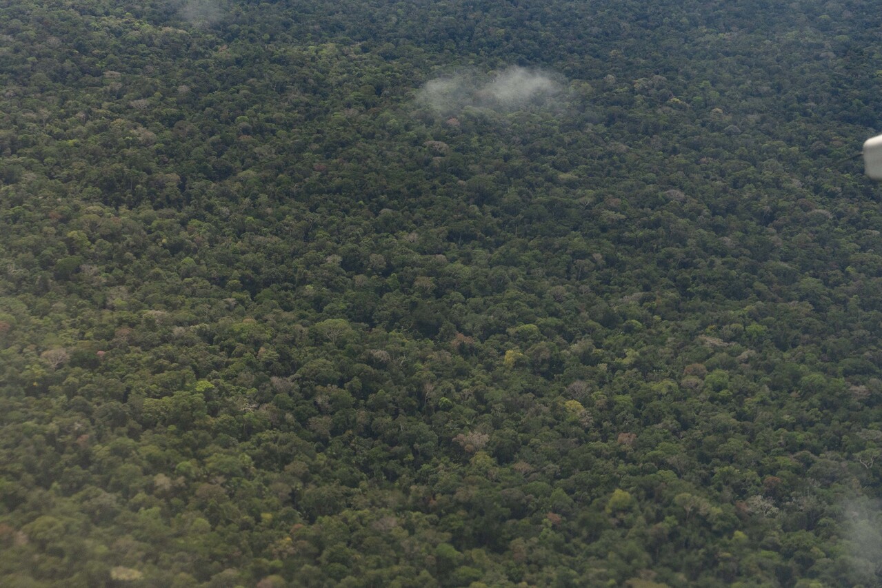 Minambiente seleccionó entidad sin ánimo de lucro para administrar recursos del proyecto “Catastro multipropósito para la protección ambiental de áreas para fortalecer la gestión forestal sostenible”