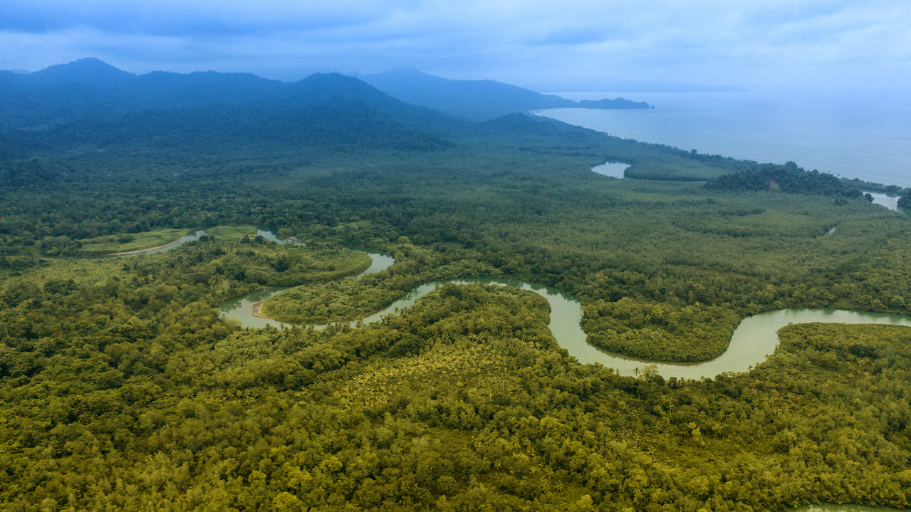 Colombia continúa avanzando en materia ambiental
