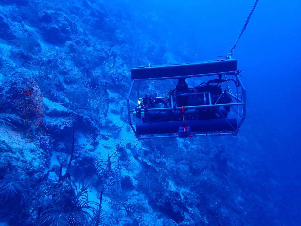Desde las fosas marinas hasta Marte, un diálogo sobre tecnología para la exploración de los ecosistemas