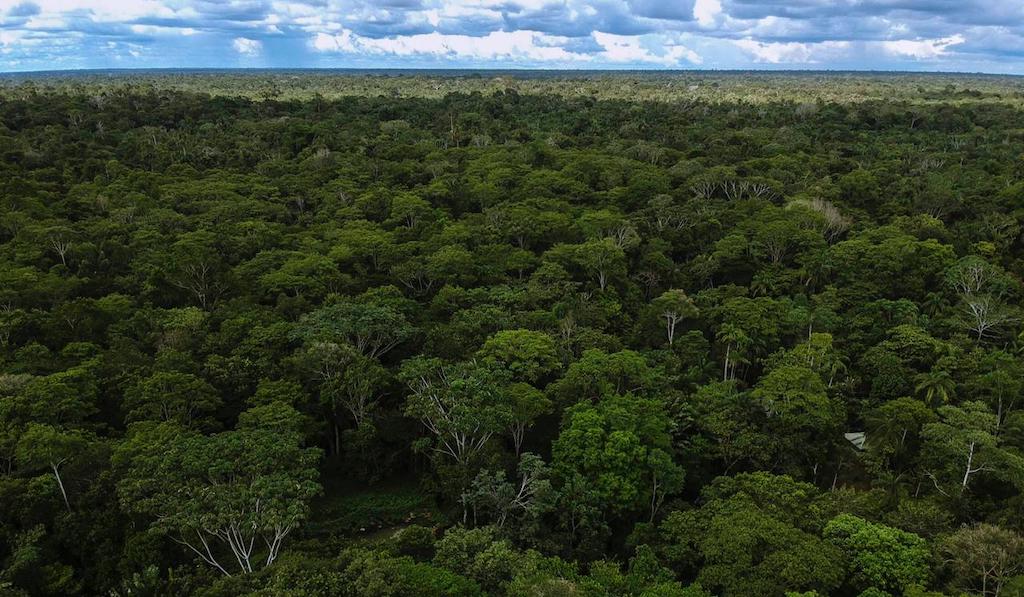 Sector Ambiente se toma la Amazonía en una semana clave para su protección
