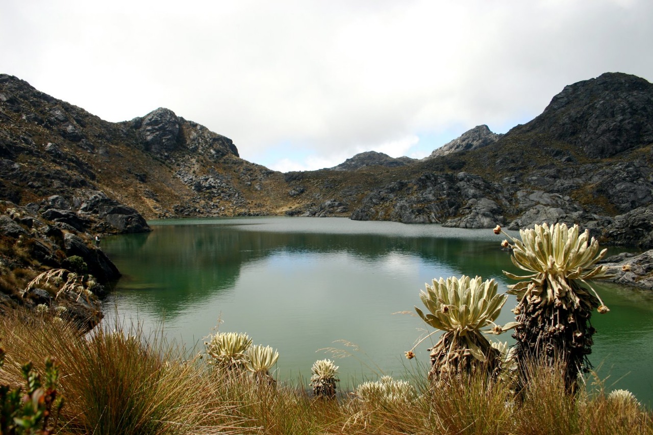 Ministerio de Ambiente destina 15 millones de dólares para invertir en 16 páramos de Colombia