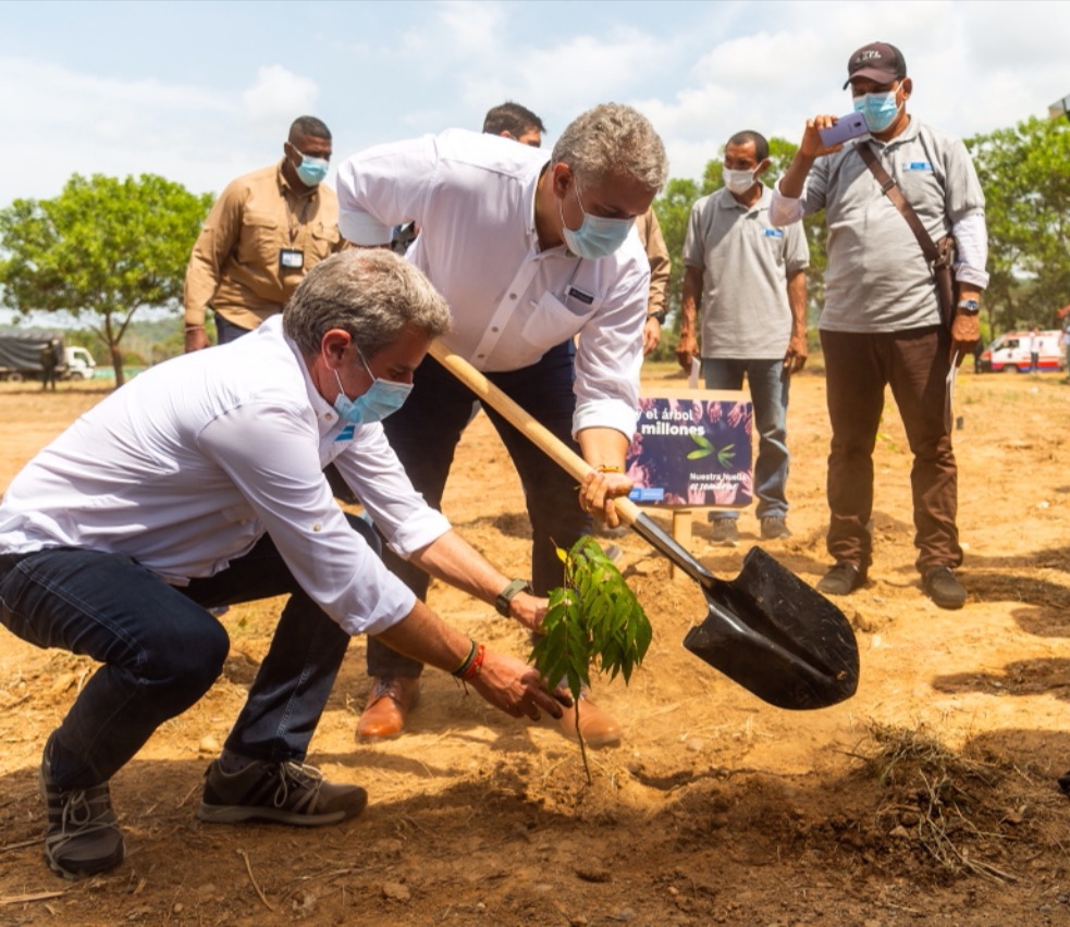 «Ya hemos sembrado un árbol por cada colombiano»