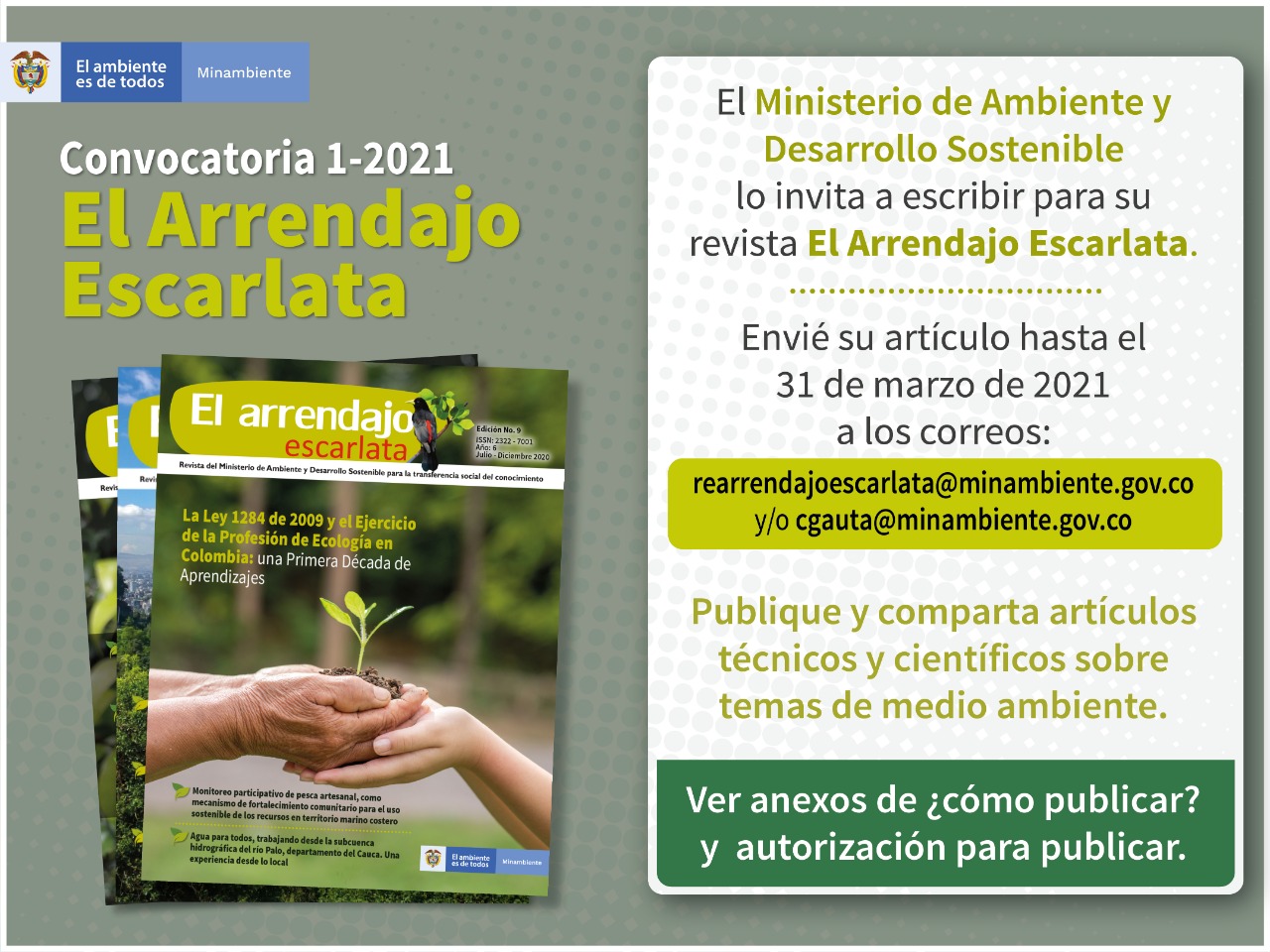 Minambiente invita a académicos a participar en la convocatoria 1-2021 para publicar sus artículos científicos en la revista El Arrendajo Escarlata