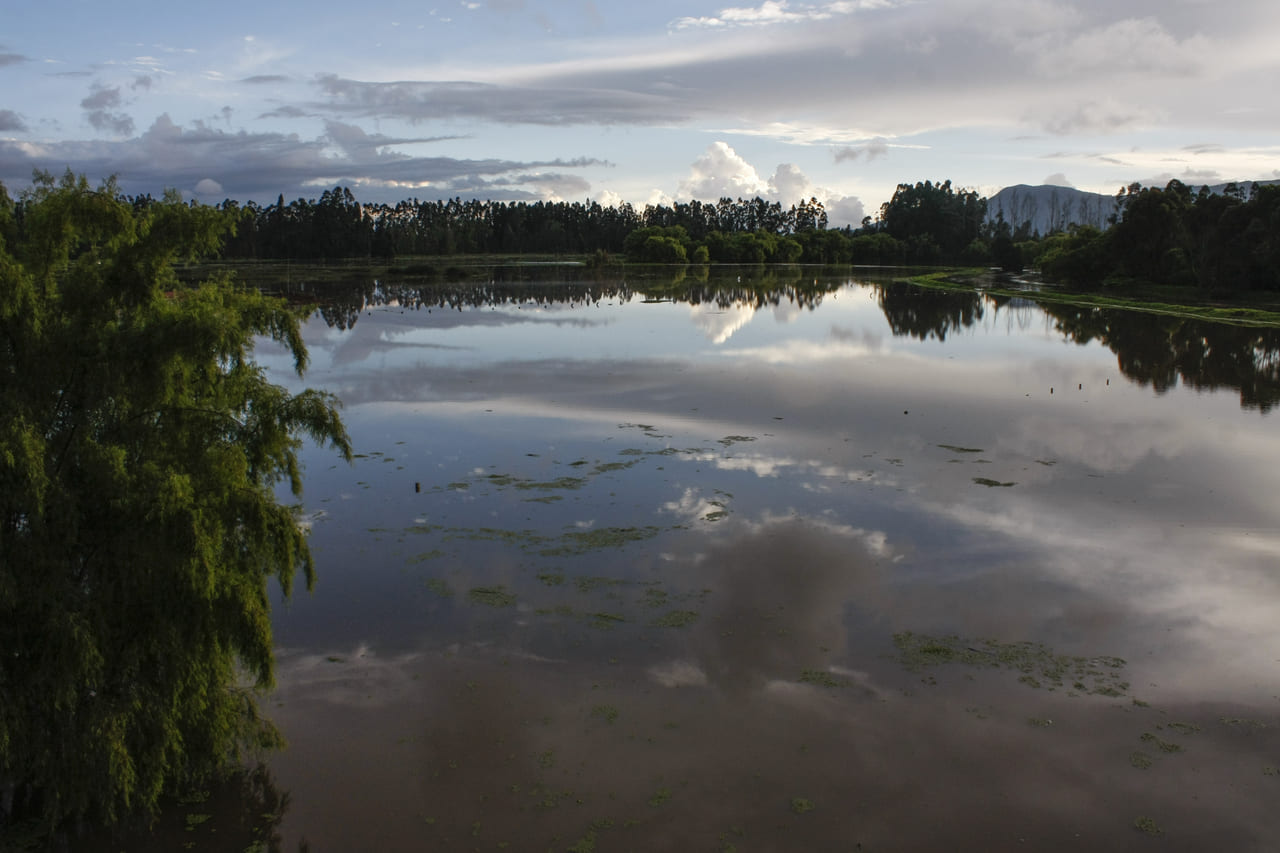“El planeta nos necesita”, dice el ministro Correa en el Día Mundial del Clima