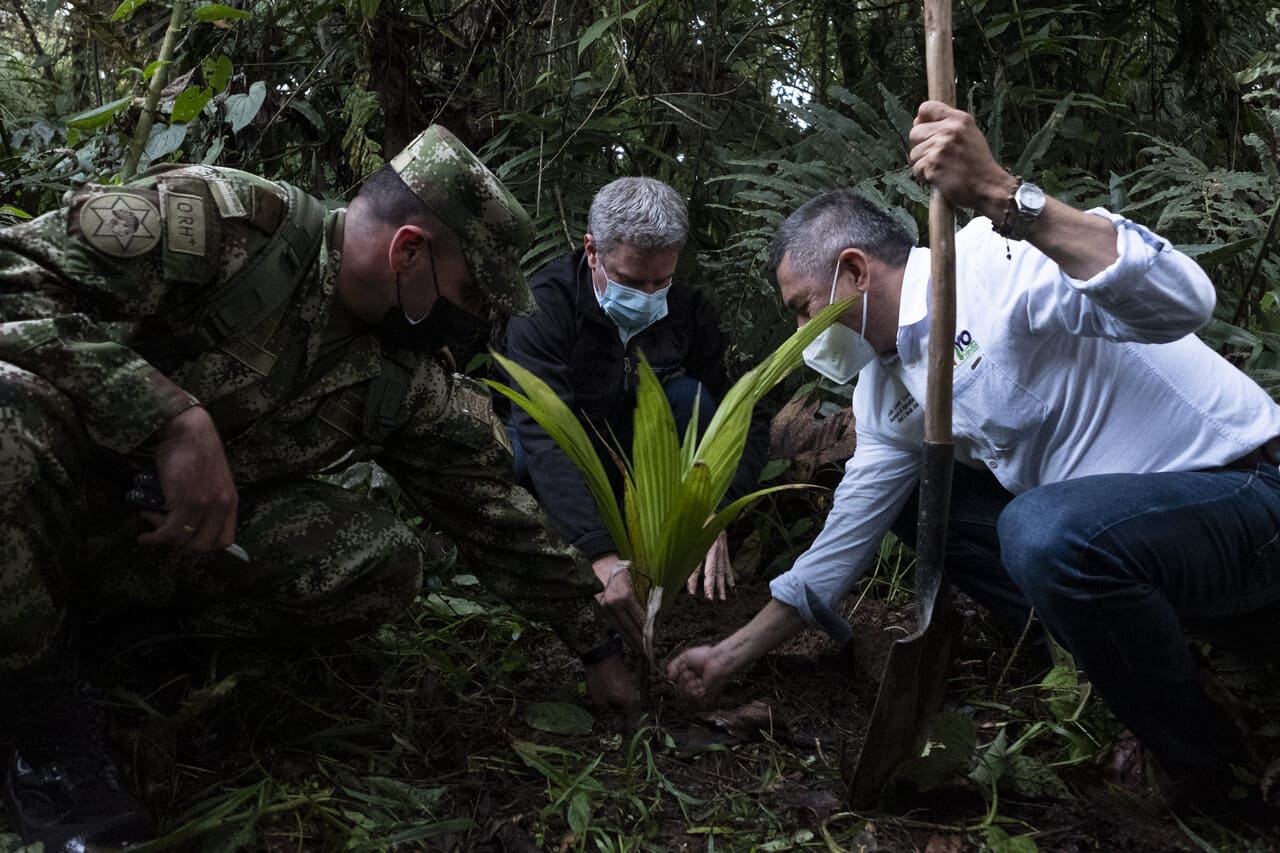 Un logro de los colombianos: llegamos a 60 millones de árboles sembrados