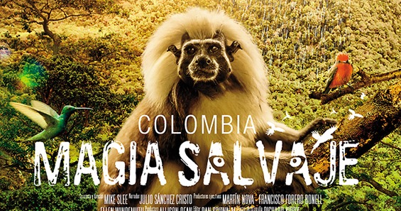 ¡La magia de la biodiversidad colombiana en la pantalla de todos!