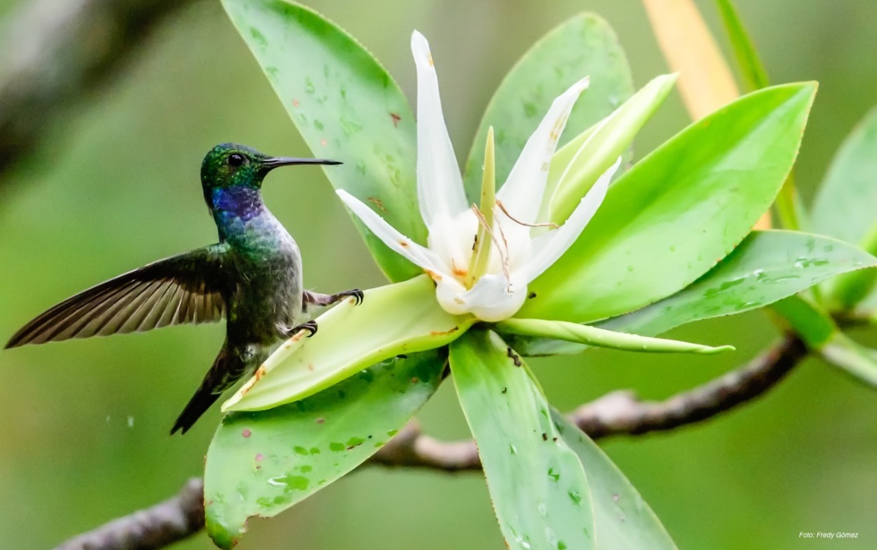 Colombia, segundo país con mejor desempeño ambiental de Latinoamérica
