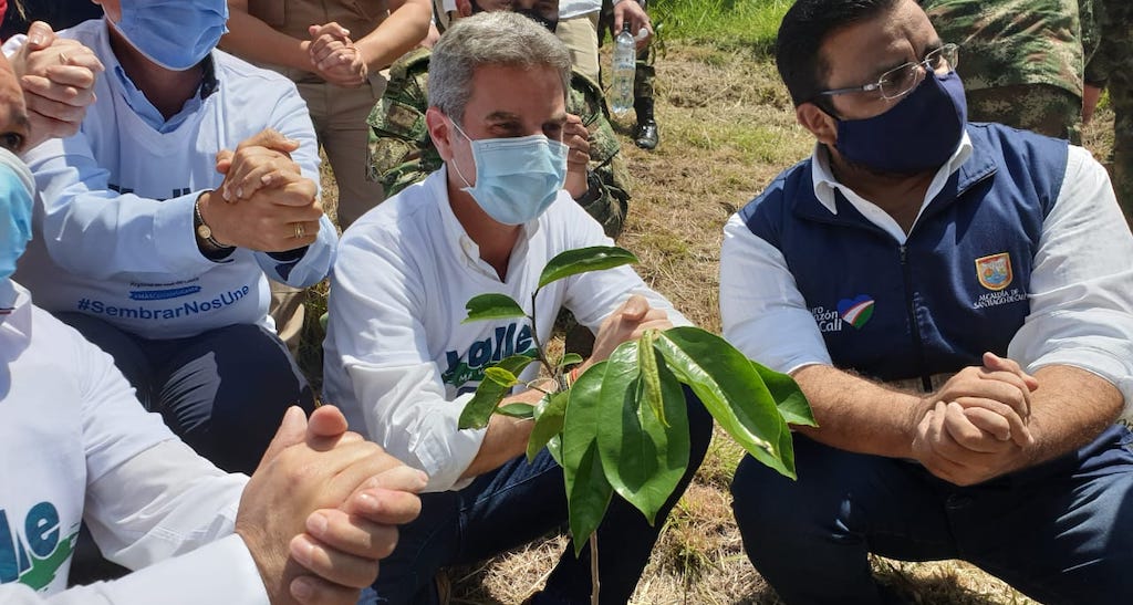 Más de 1.450.000 árboles nuevos sembrados en el país