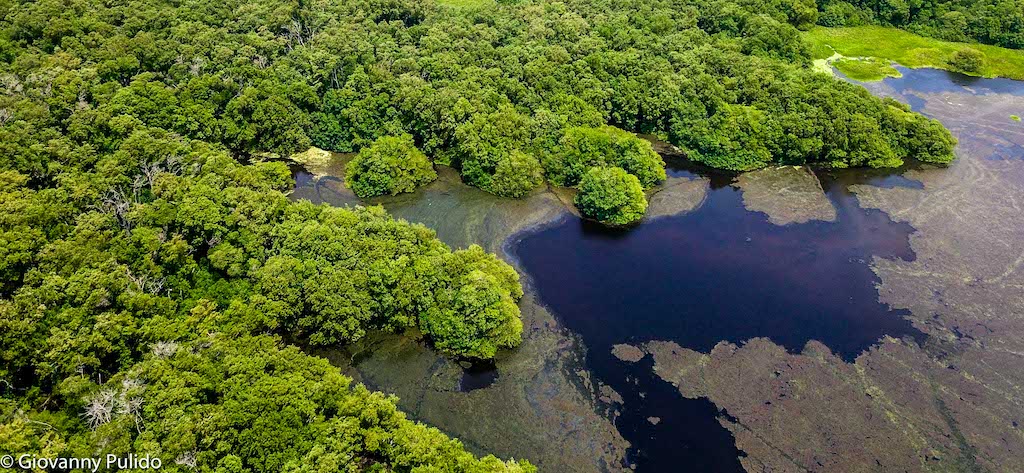 Presidente Iván Duque sancionó la primera Ley de Regalías que destina recursos para fortalecer el Sistema Nacional Ambiental