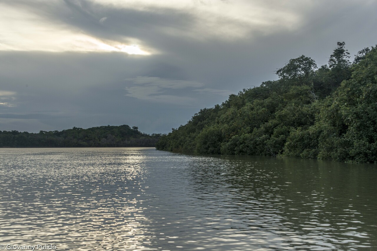 Gobierno lanzó trabajo con Grupo de Expertos sobre el nuevo Marco Global para la Biodiversidad