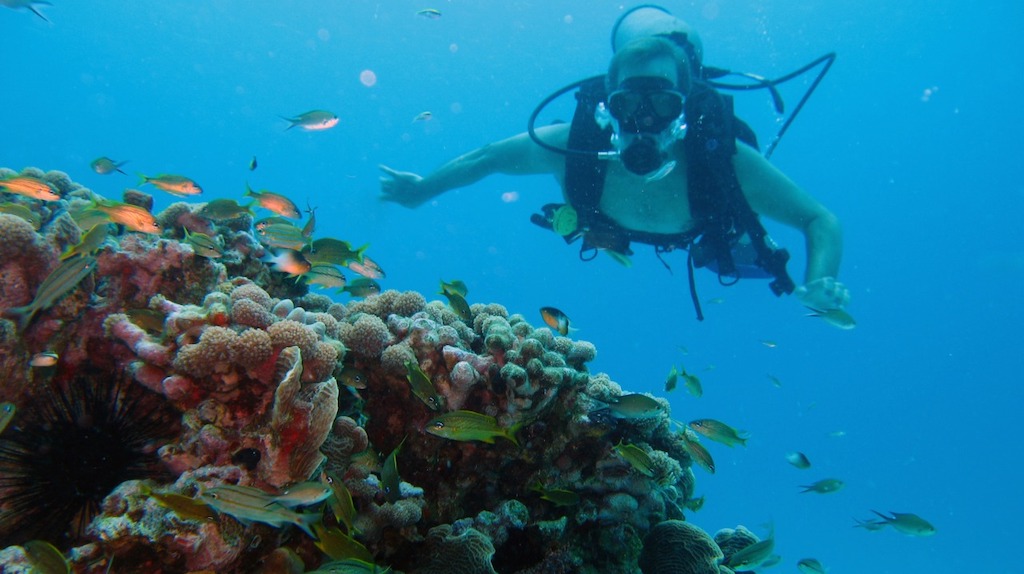 Reserva de Biosfera Seaflower: todos pueden participar en la elaboración del informe que se le presentará a UNESCO