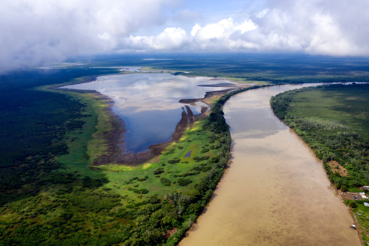 Más de 30 expertos de talla mundial harán parte de la celebración global del Día Mundial del Medio Ambiente
