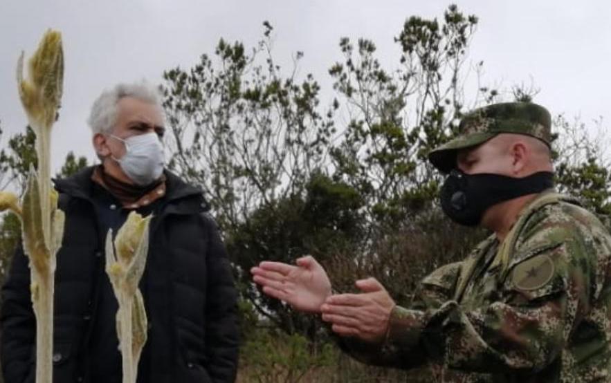 La siembra de árboles continúa, pese al aislamiento preventivo obligatorio