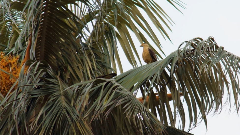 «Quédate en casa y vive esta Semana Santa en paz con la naturaleza»: Minambiente