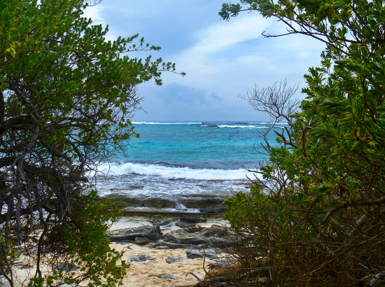 Minambiente invita a seguir recomendaciones para cuidado del medio ambiente con reapertura de playas