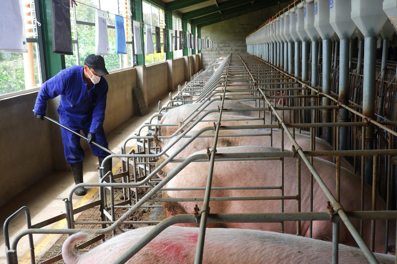 Colombia inicia acciones para la gestión sostenible de la biomasa residual