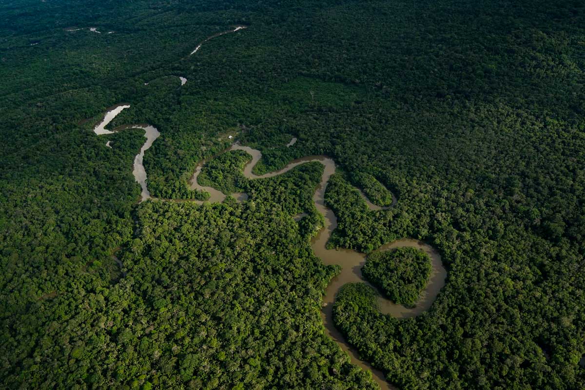 Con gobernanza forestal, Minambiente le apunta a la conservación y al uso sostenible de los bosques