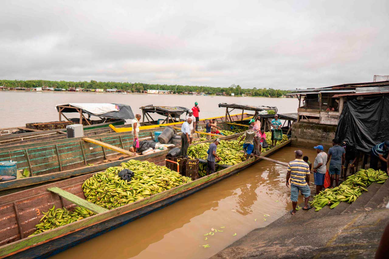 Minambiente acompaña un proyecto que empodera a comunidades del Chocó