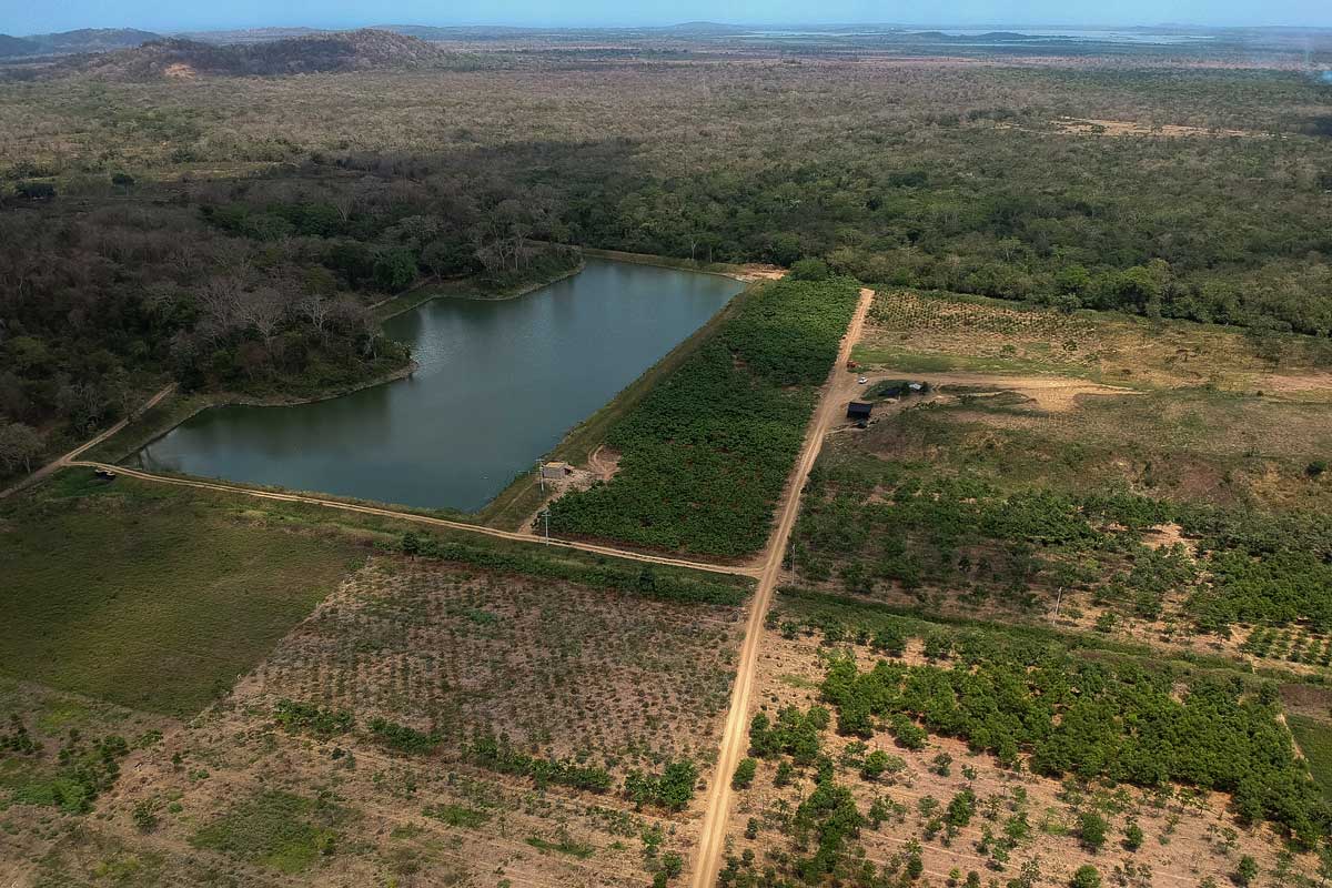 Ministerio de Ambiente ratificó su compromiso de mantener y restaurar los suelos