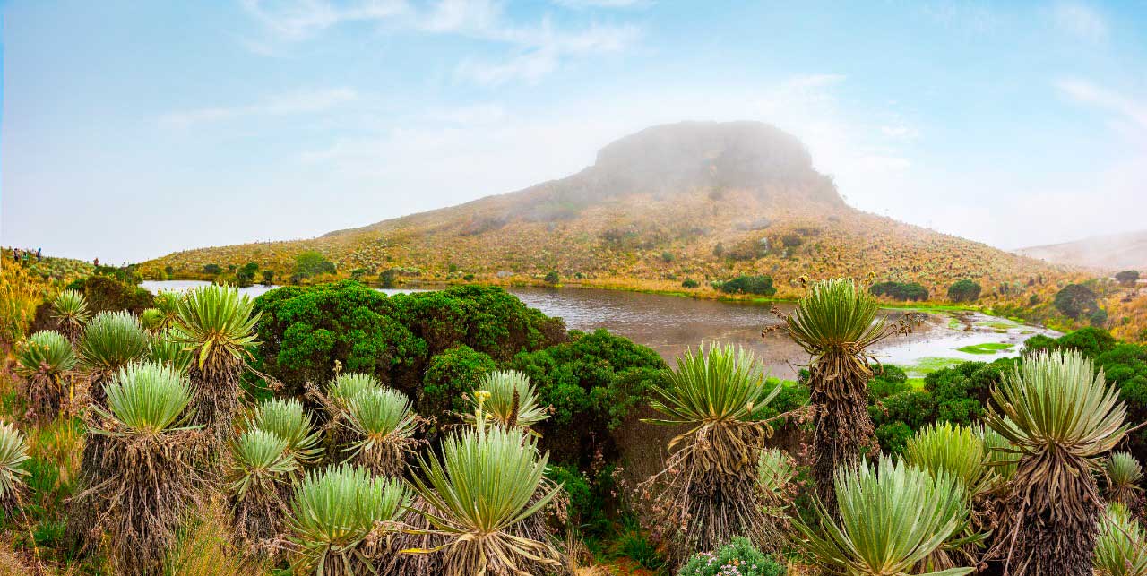 Si tiene una solución innovadora para enfrentar el cambio climático, participe en Actúa E2050 Colombia