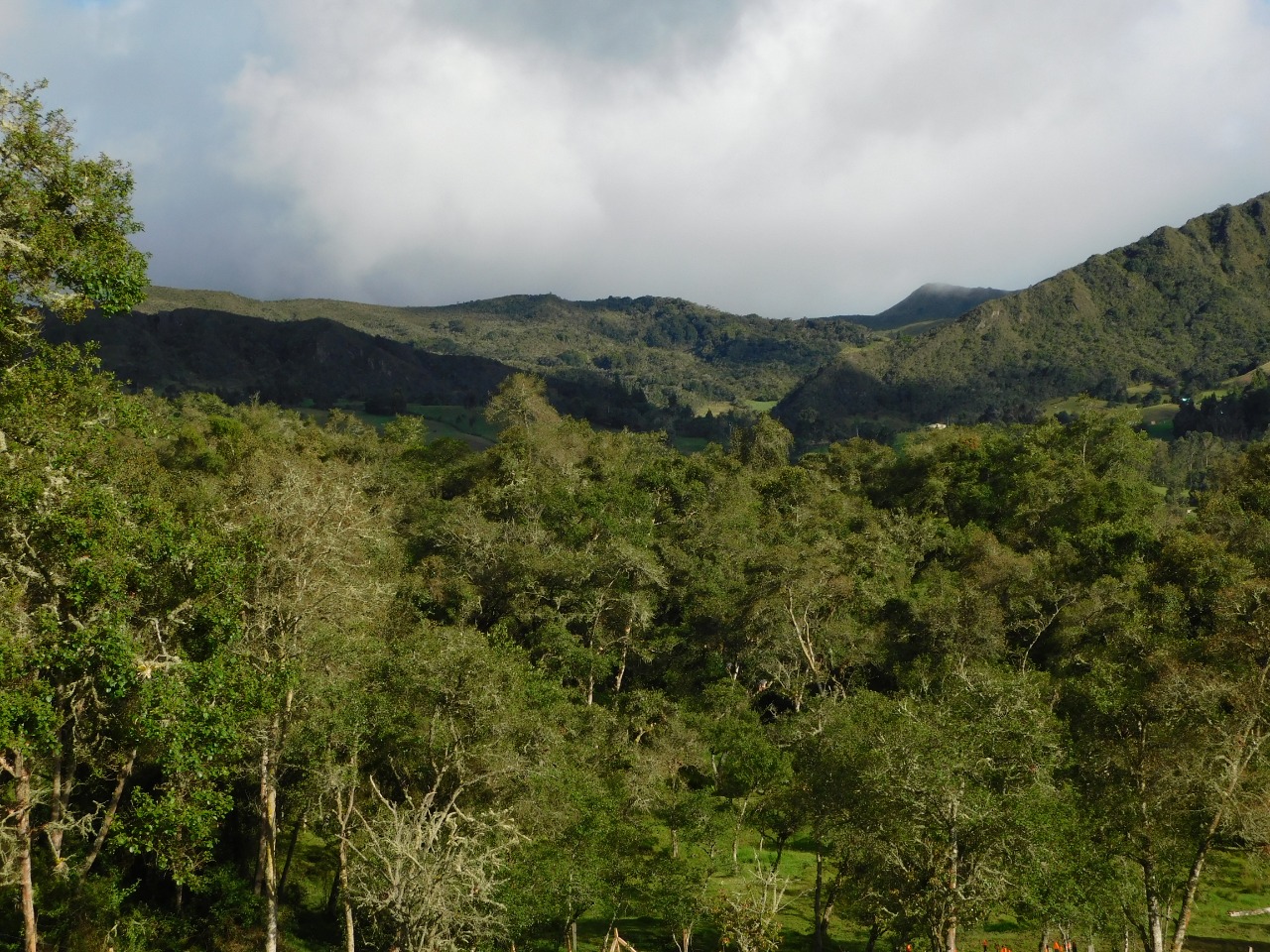 MinAmbiente logró gestionar más de 500 millones de dólares para proyectos contra la deforestación y el impulso a la economía circular en 2019