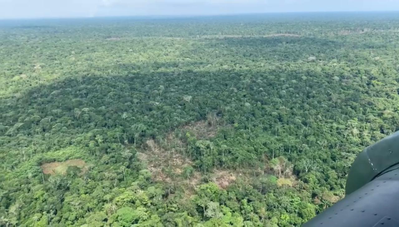 Duro golpe a deforestadores en Guaviare