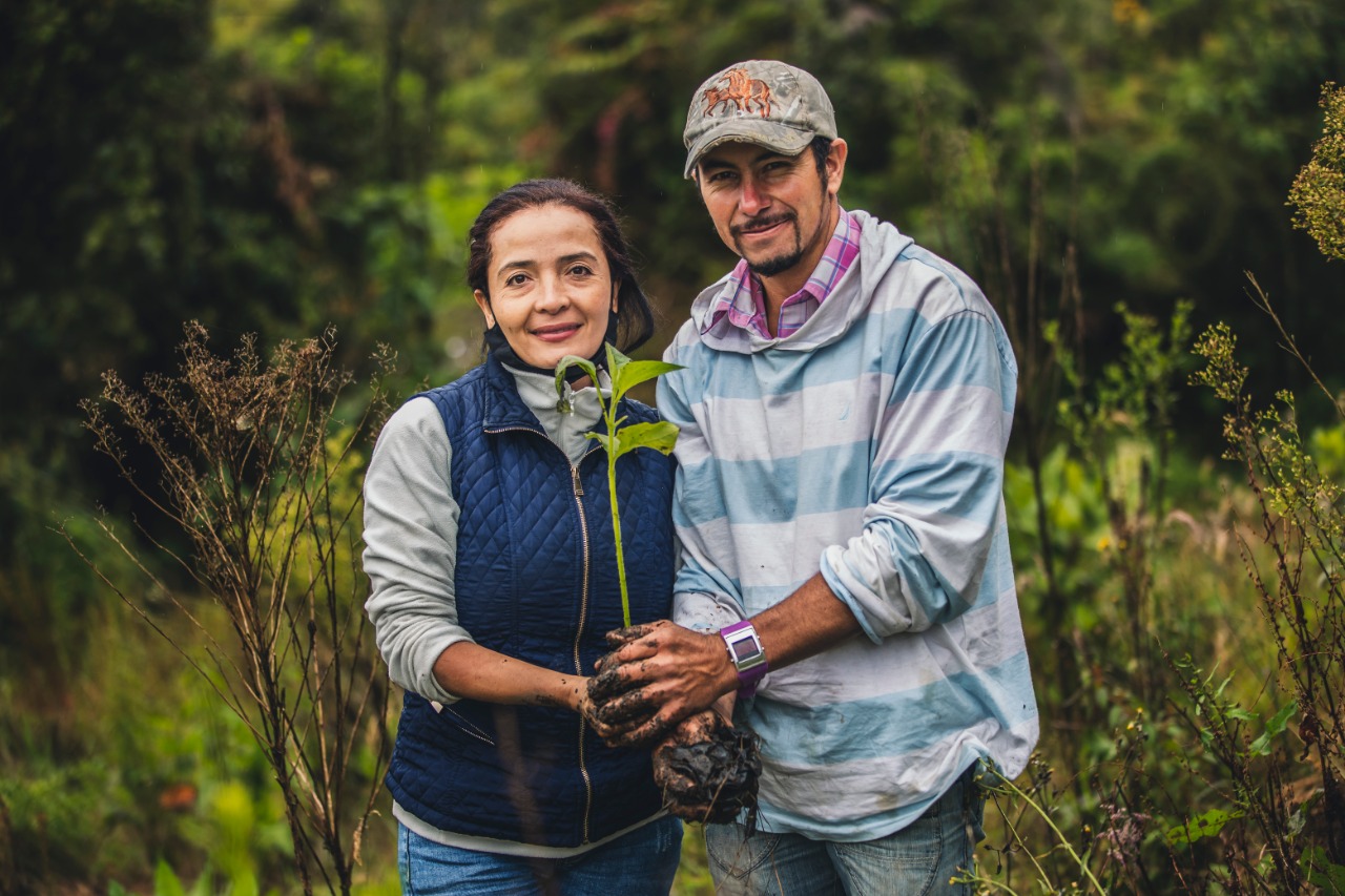 Compañía multinacional sembrará 2200 árboles en dos municipios de Antioquia