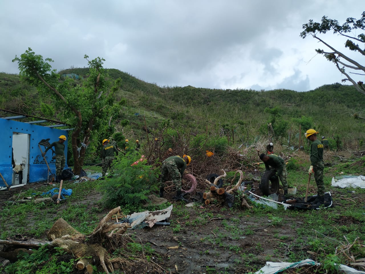 Comenzó la construcción del primer vivero para la restauración de la vegetación de las islas de Providencia y Santa Catalina