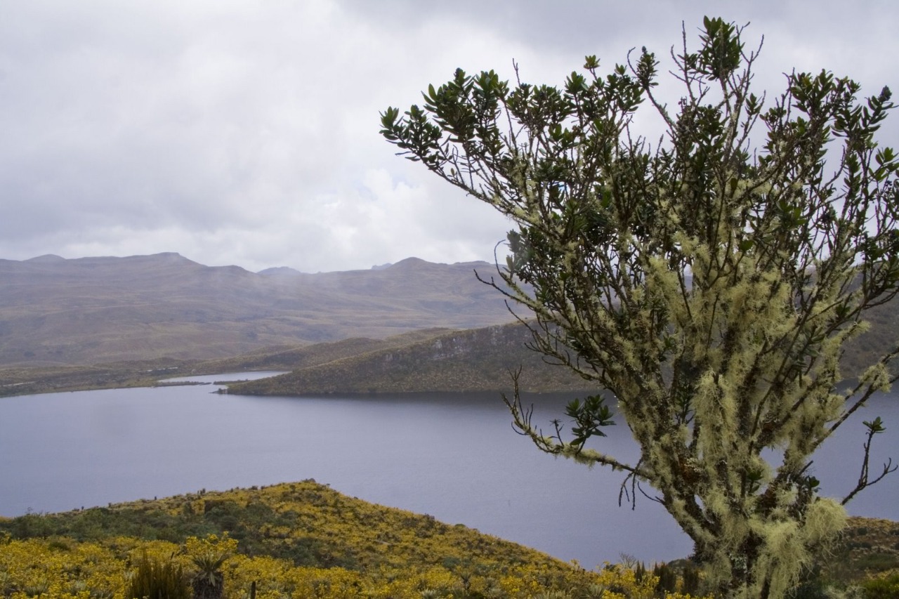 Minambiente avanza en la fase informativa para la delimitación del Páramo Cruz Verde-Sumapaz en La Calera