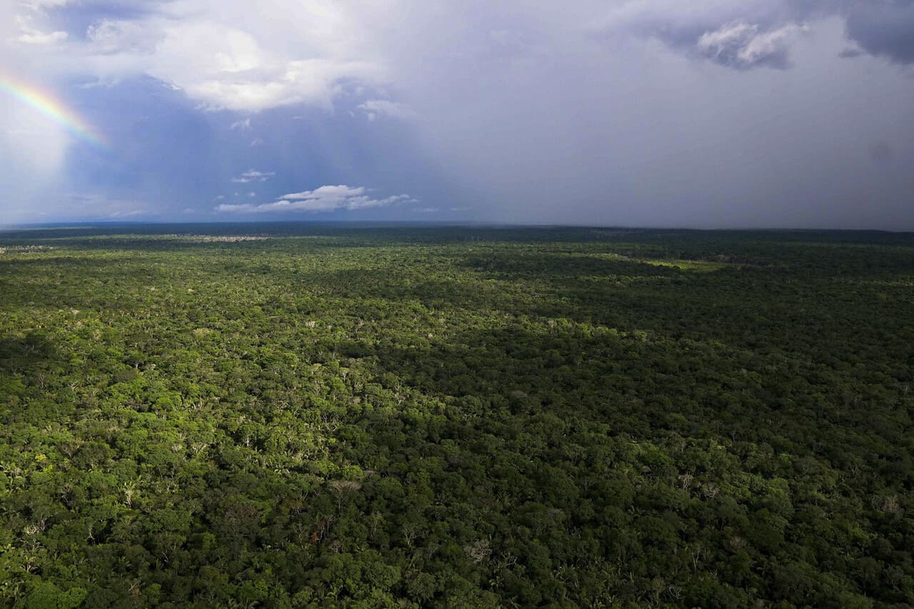 Gobierno Nacional, con la lupa puesta en la deforestación