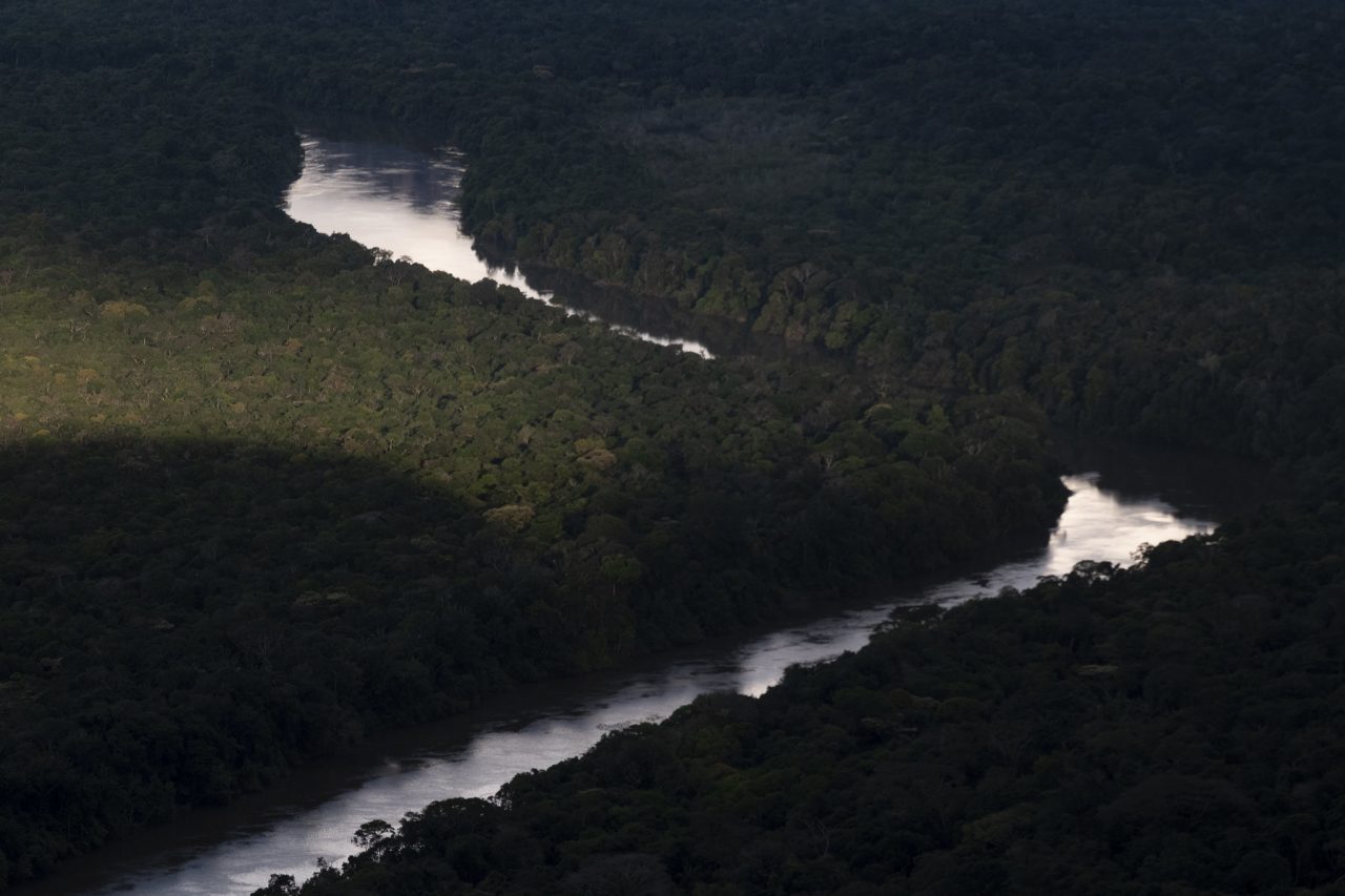 “Es urgente revertir la pérdida de biodiversidad”: Ministro de Ambiente previo a la PreCOP de Leticia