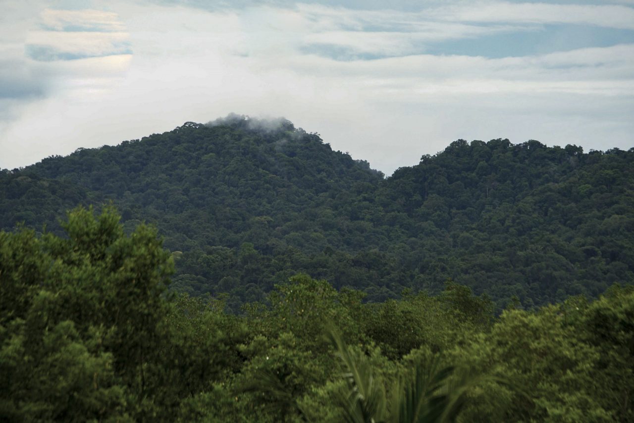 Día del Aire Limpio, la apuesta del Minambiente para que el país respire mejor