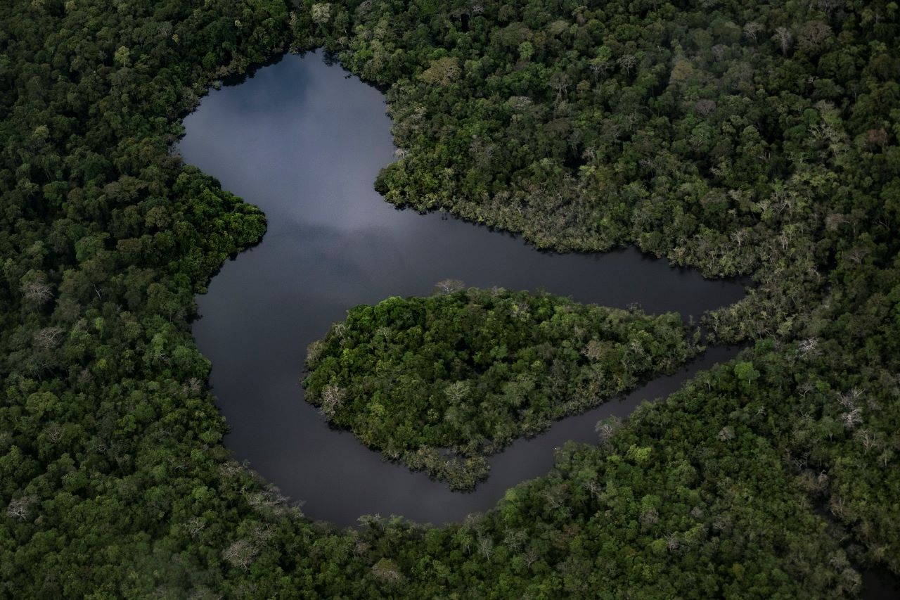 Amazonas le apuesta a los emprendimientos sostenibles y a la economía circular