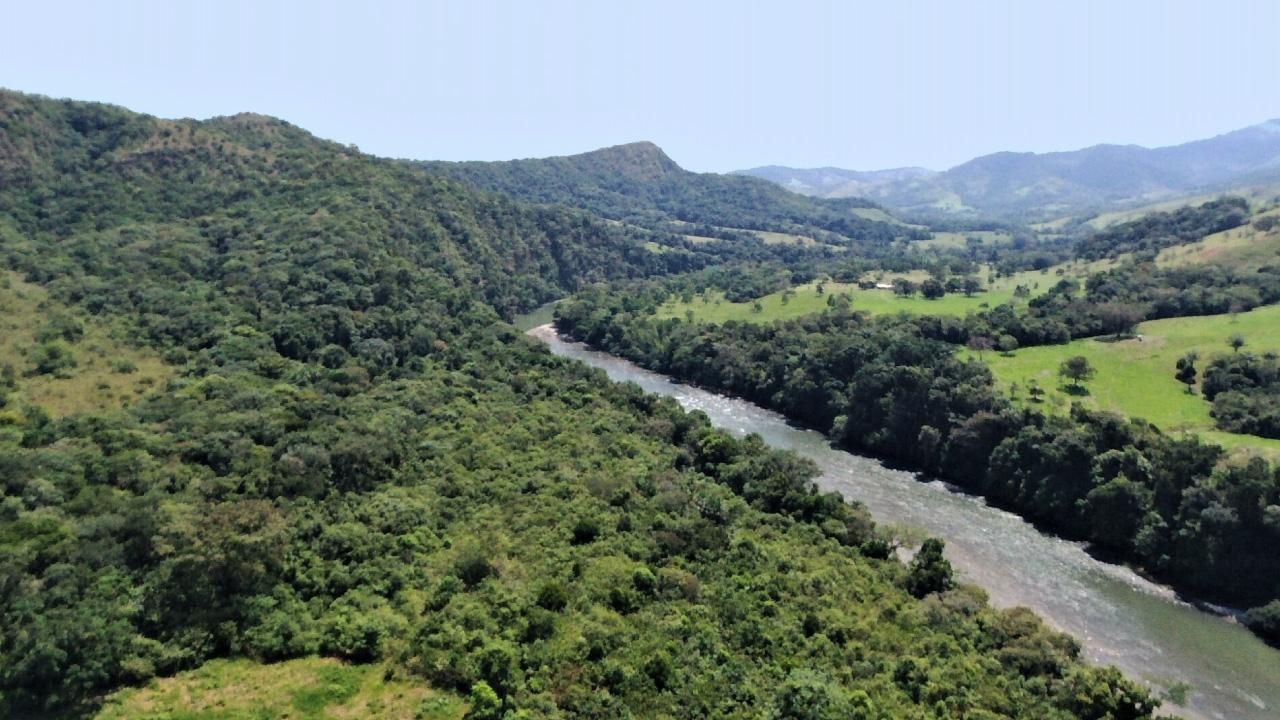 Pago por Servicios Ambientales, otra estrategia del Vichada para proteger la naturaleza