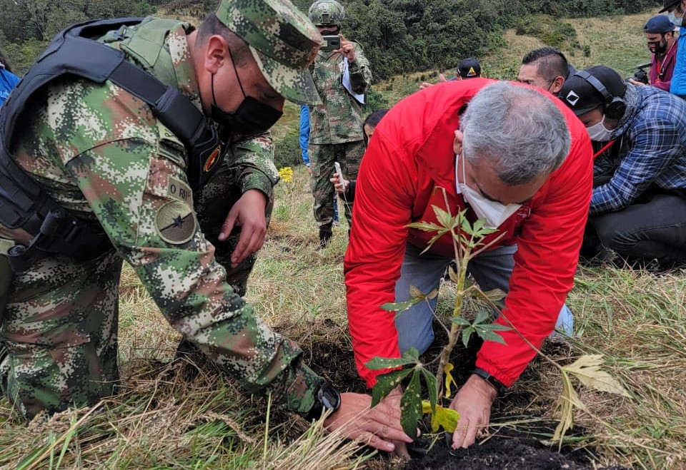 Alquería, en alianza con Minambiente y otras entidades sembró 3.000 árboles nativos en la Reserva Nukuma