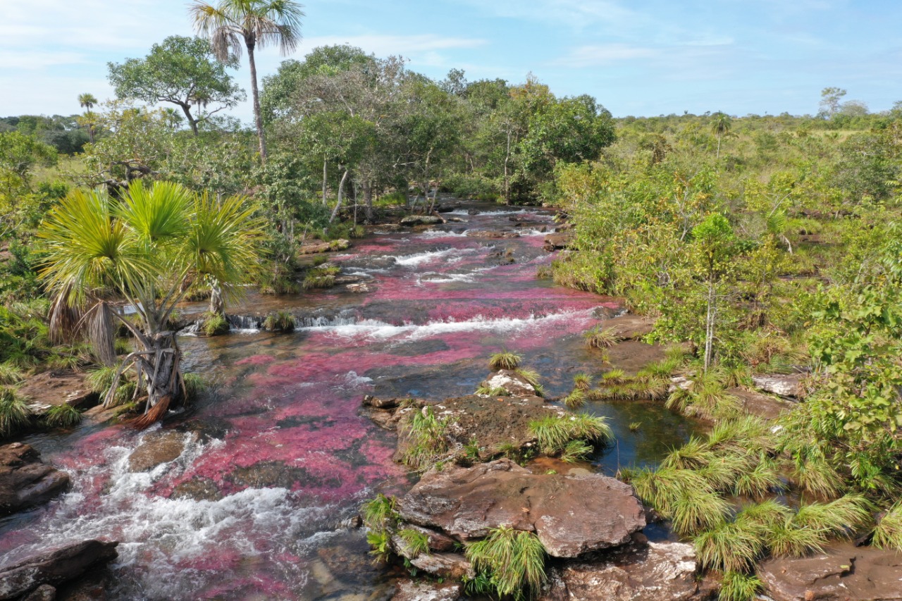 Turismo de naturaleza: alternativa productiva que aporta a la reducción de la deforestación en la Amazonía