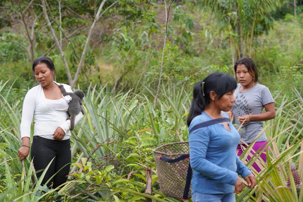 Mujeres en la conservación de los recursos naturales: alma y vida de un país que se transforma