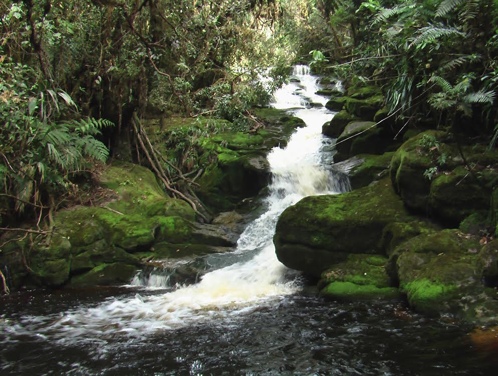 Colombia cuenta con una nueva propuesta de estimación de caudales ambientales