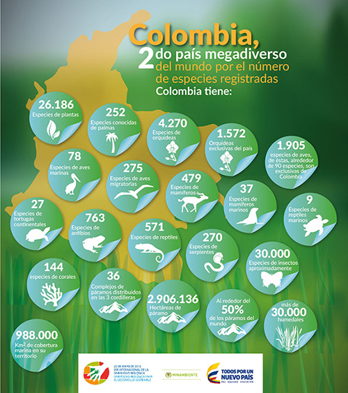 La Diversidad Biológica, fundamental para el sostenimiento del mundo