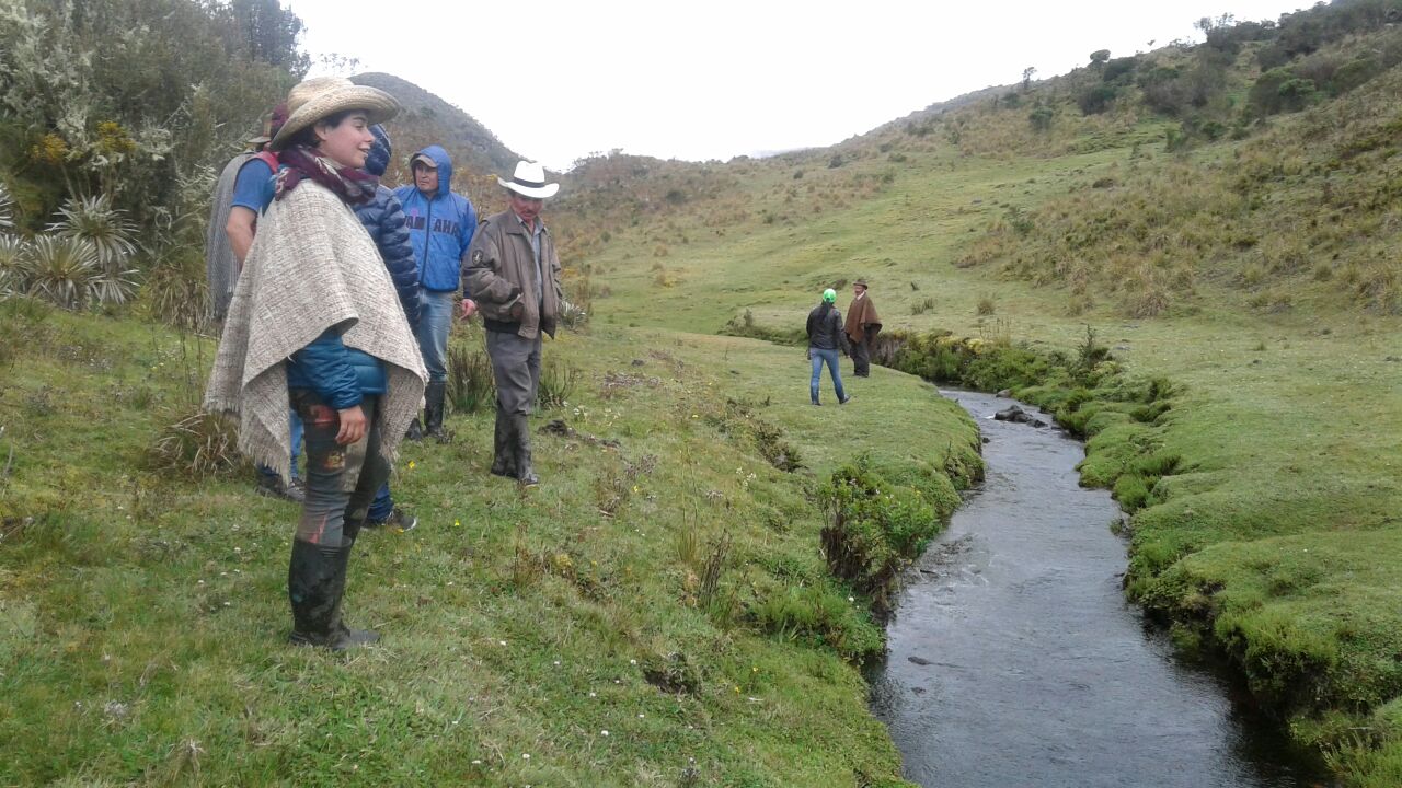 Los Procedas velan por la conservación y el desarrollo sostenible de los territorios Colombianos