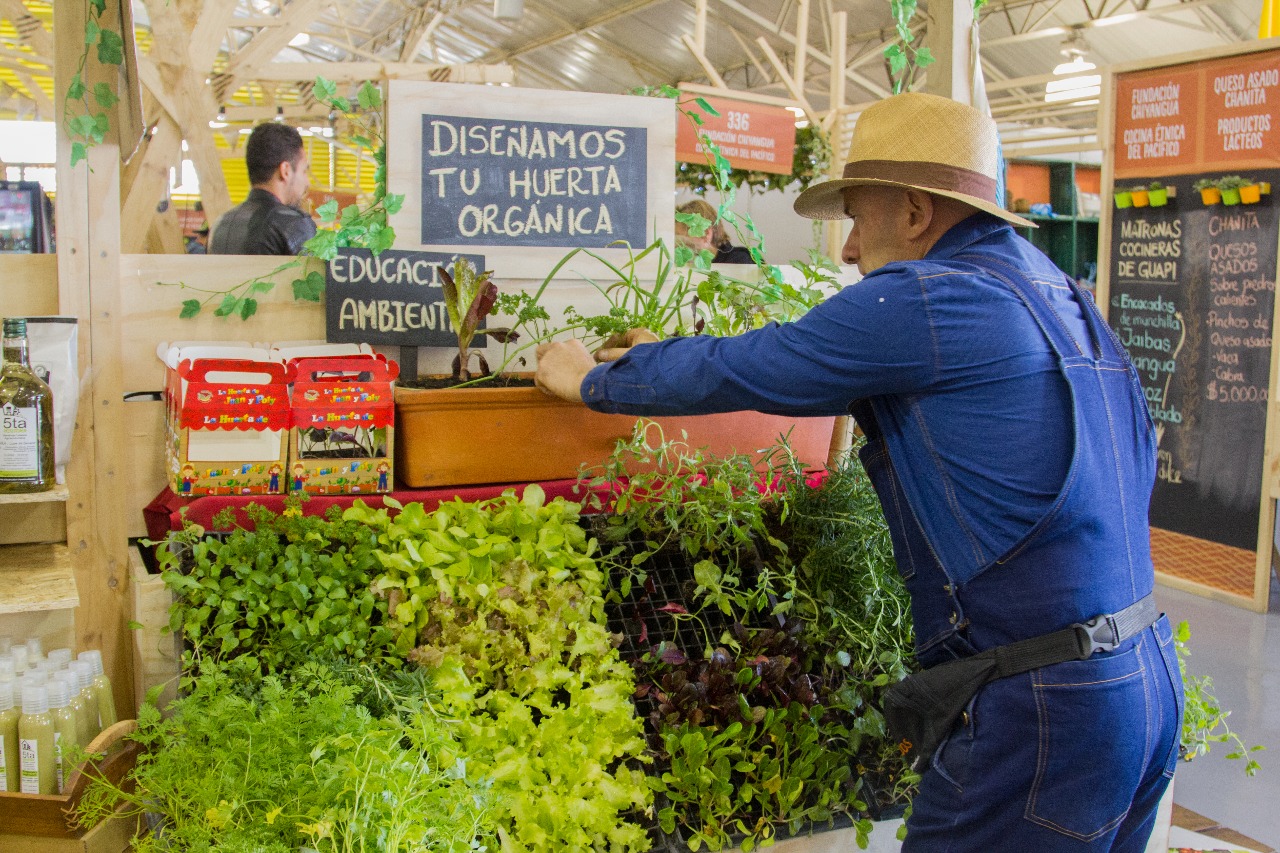 Negocios Verdes, visión para el desarrollo de una nueva economía en el 2018