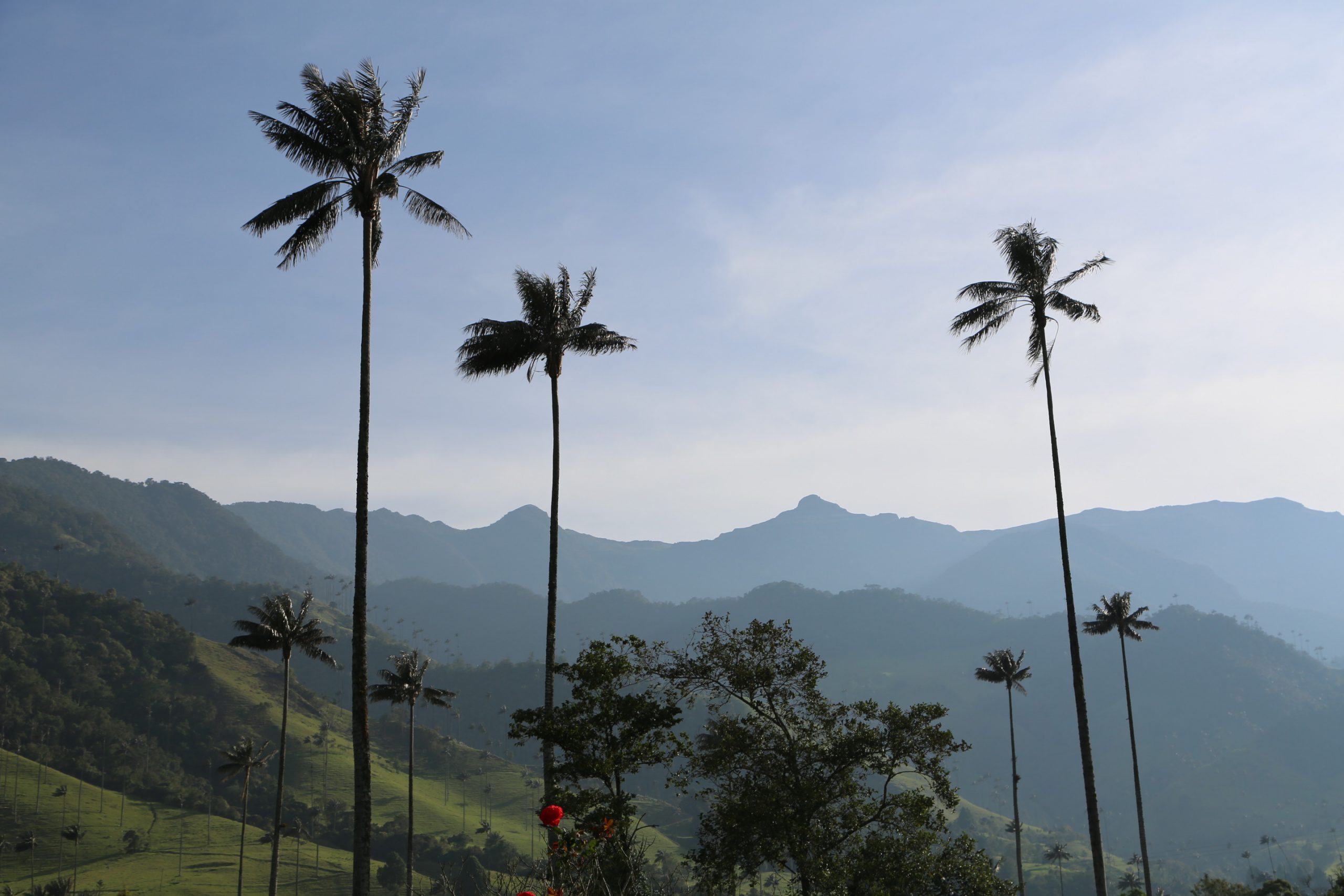 Con ecoturismo comunitario Colombia renueva su oferta para vacaciones