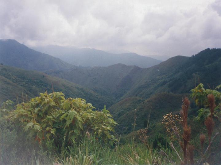 Nuevas especies animales se habrían encontrado en parque nacional natural Farallones de Cali