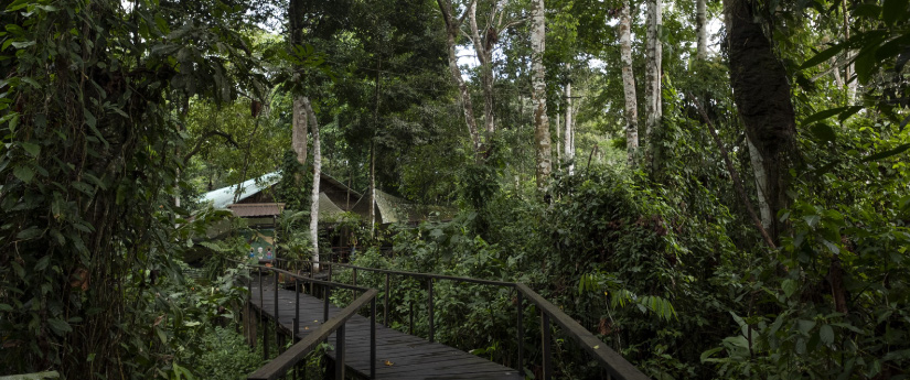 Minambiente presenta plan de manejo de reserva forestal de los cerros orientales de Bogotá