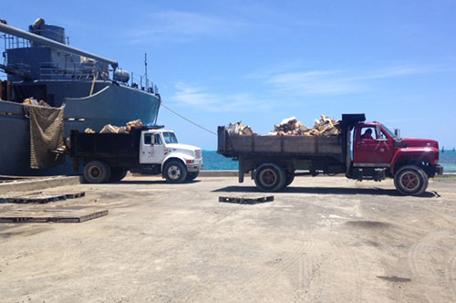 36 toneladas de residuos posconsumo fueron retiradas de la isla de San Andrés