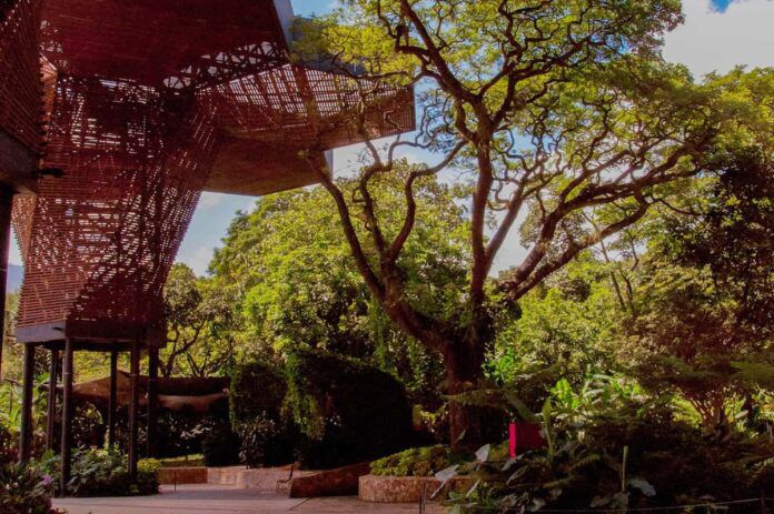 Bioexpo Antioquia 2021 le apuesta a una reactivación económica sostenible