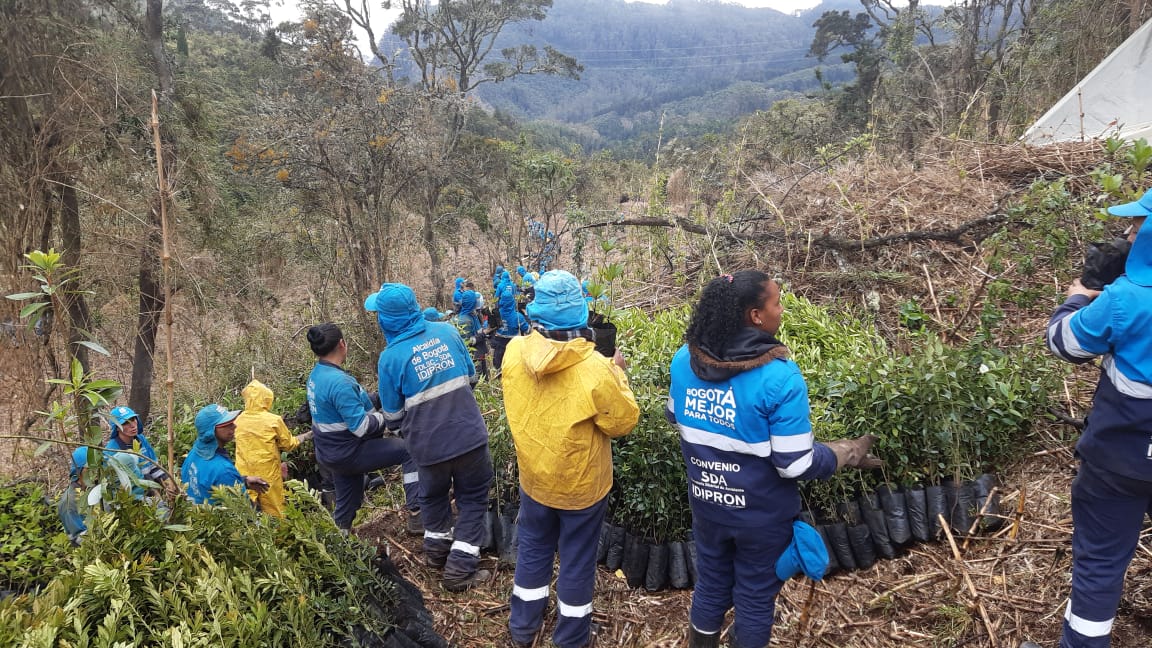 Bogotá le cumple a la conservación de los cerros orientales